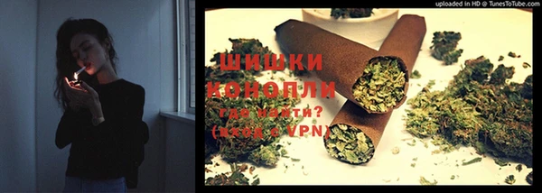 ГАЛЛЮЦИНОГЕННЫЕ ГРИБЫ Алексеевка