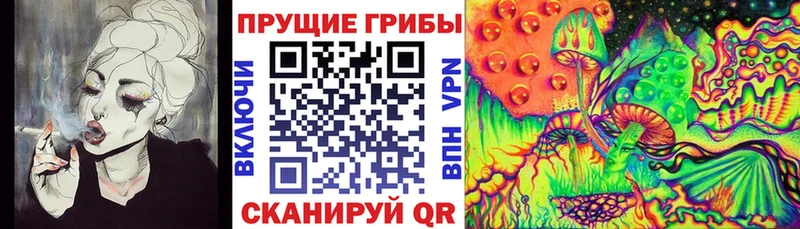 Галлюциногенные грибы Cubensis  Собинка 